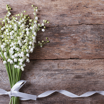 WS Our Wedding: Shining Bright