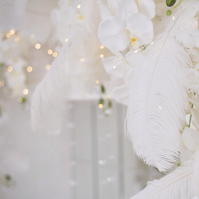 WS Our Wedding: Wedding Roses