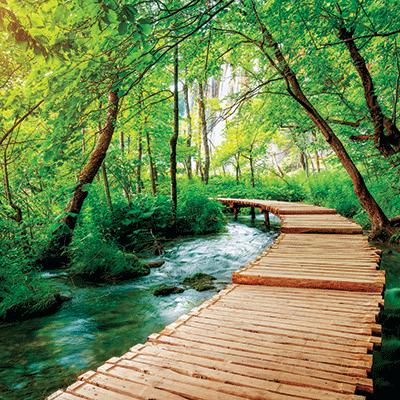 WS Pathways: Nature Trek