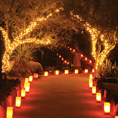 Pathways: Luminaries