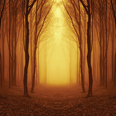 Phantom Grove: Haunted Mansion