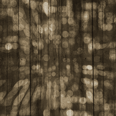 Phantom Grove: Screaming Tree Forest