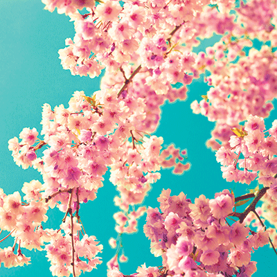 WS Pretty in Pink: Pretty in Pink 3