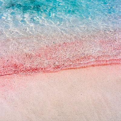 Pretty in Pink: Pretty in Pink 4