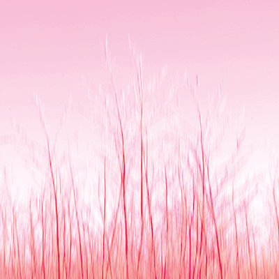 Pretty in Pink: Pretty in Pink 4