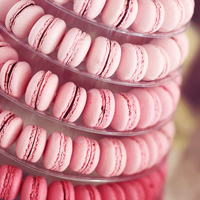 WS Pretty in Pink: Pretty in Pink 5