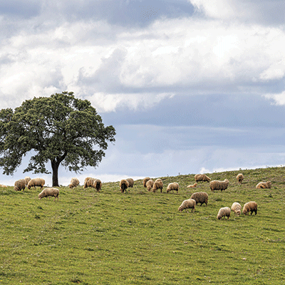 WS Portugal: Palace of Pena, Sintra, Portugal