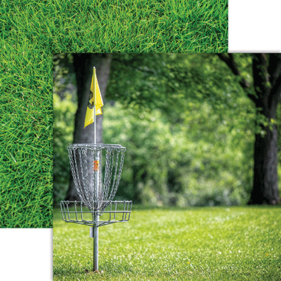 WS The Park: Frisbee Golf