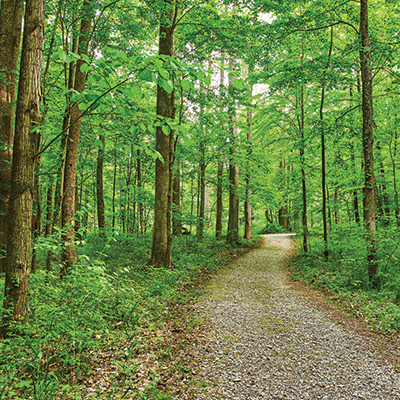 WS The Park: Hiking