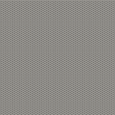 WS Remember: In Loving Memory