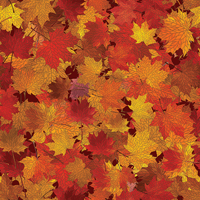 WS Simply Autumn: Autumn Splendor