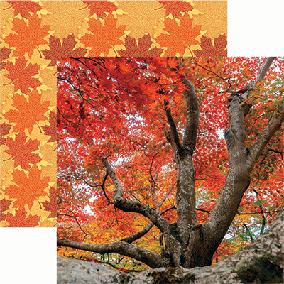 Simply Autumn - Designs By Reminisce