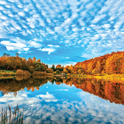 WS Simply Autumn: Glorious Autumn