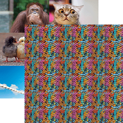 Say What?: Snakeskin