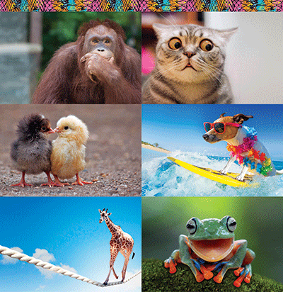 WS Say What?: Snakeskin