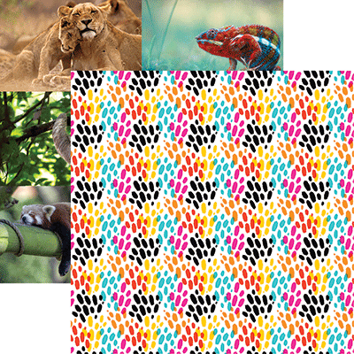Say What?: Colorful Spots