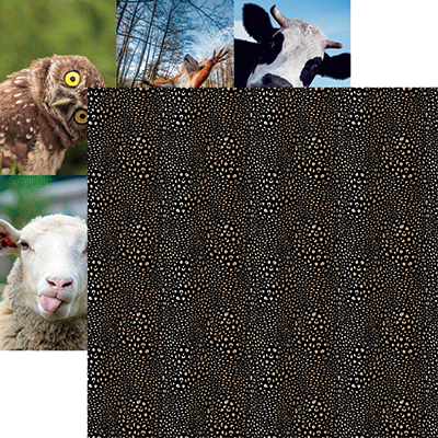 WS Say What?: Gold and Black