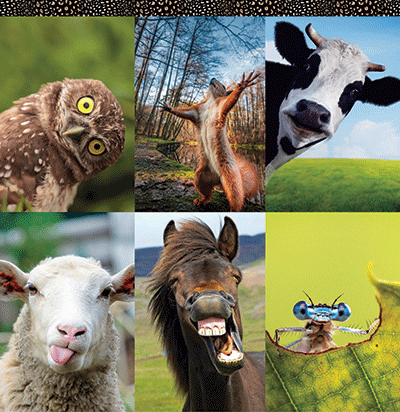 WS Say What?: Gold and Black