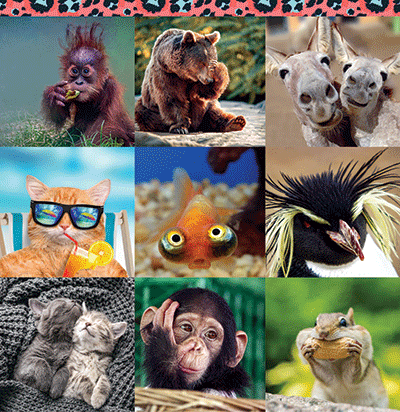 WS Say What?: Leopard Spots