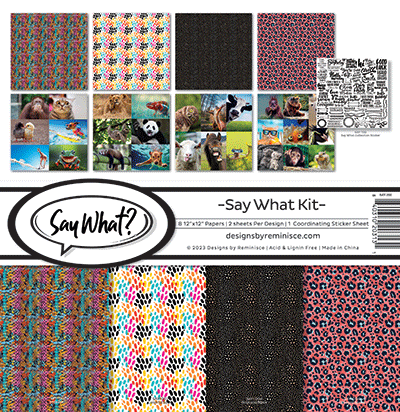 Say What?: Say What? Collection Kit