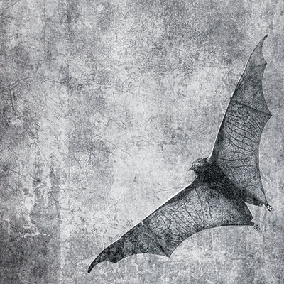 Vintage Halloween: Vampire Bat