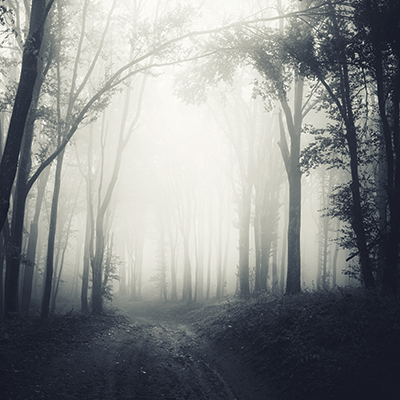 WS Vintage Halloween: Spooky Night