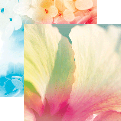 WS Weekend Getaway: Weekend Getaway