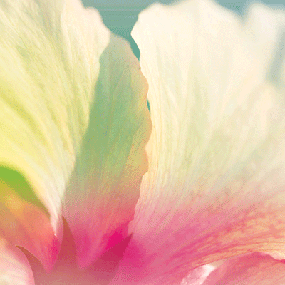 Weekend Getaway: Weekend Getaway