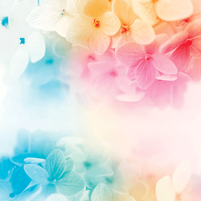 WS Weekend Getaway: Weekend Getaway