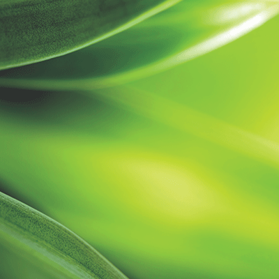 Weekend Getaway: Refresh