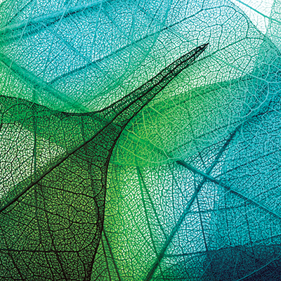 WS Weekend Getaway: Refresh