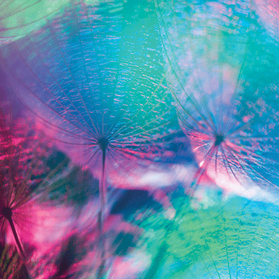 WS Weekend Getaway: Reconnect