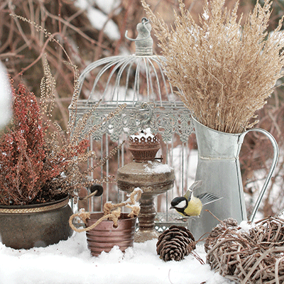 Winter Garden: Winter Bouquets