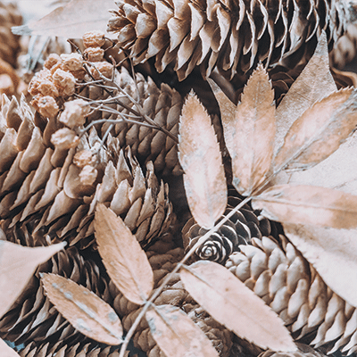 WS Winter Garden: Winter Bouquets