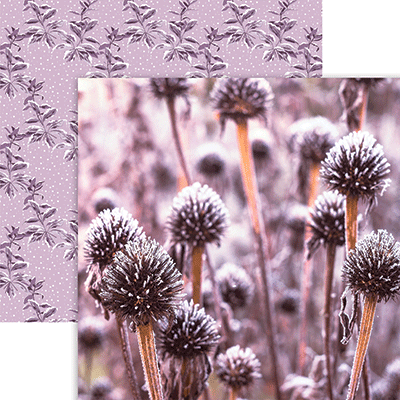 WS Winter Garden: Winter Bliss