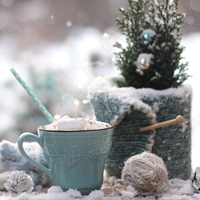 Winter Garden: Hot Chocolate
