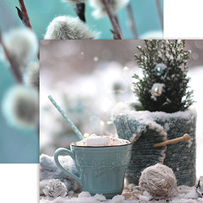 Winter Garden: Hot Chocolate