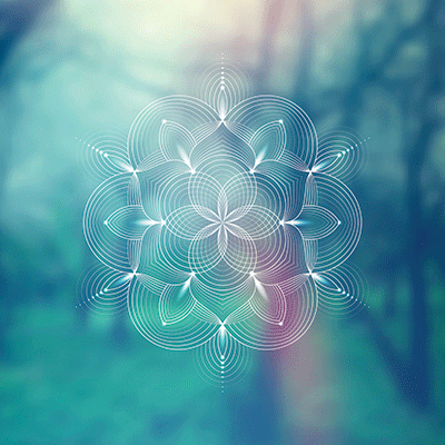 WS Yoga Life: One with Nature