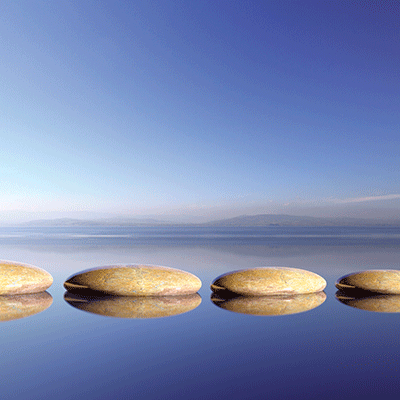 WS Yoga Life: Zen