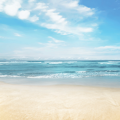 WS Vitamin Sea: Beach Day