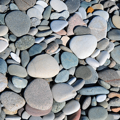 Vitamin Sea: Beach Day