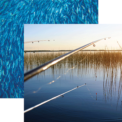 Hooked on Fishing: Fishing Life