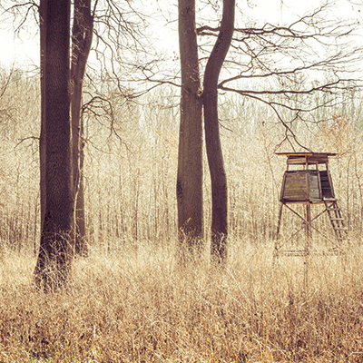 WS Hunting Life: Hunting Stand