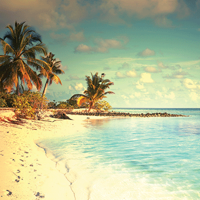 Picture Perfect: Paradise Beach