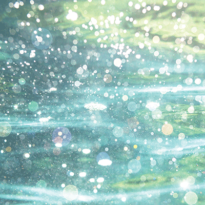 Picture Perfect: Paradise Beach