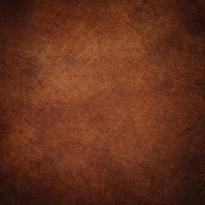 WS Foundations: Leather