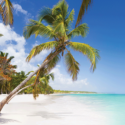 Island Paradise: Punta Cana