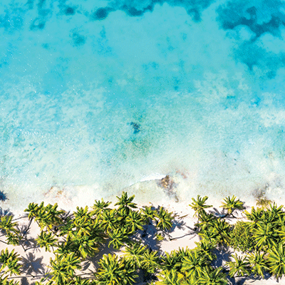 Island Paradise: Punta Cana