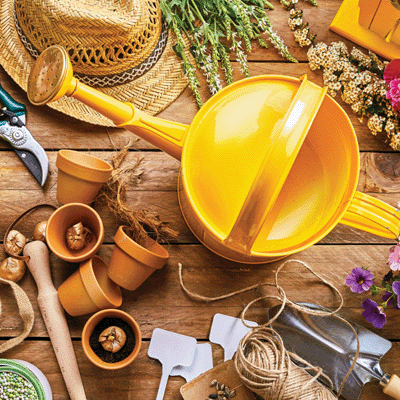 Growing Garden: Ready for Spring