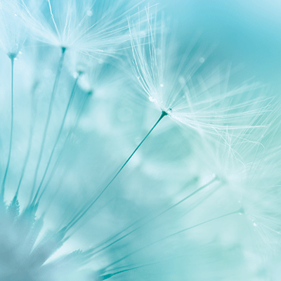 WS Forever and Always: Something New